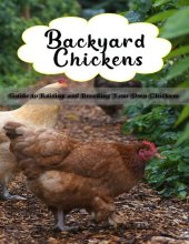 book Backyard Chickens ; Guide to Raising and Breeding Your Own Chickens
