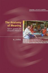 book The Anatomy of Meaning: Speech, Gesture, and Composite Utterances