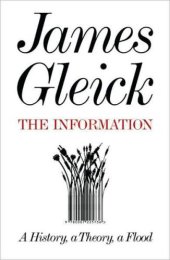 book The Information: A History, a Theory, a Flood