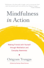 book Mindfulness in action: making friends with yourself through meditation and everyday awareness