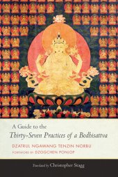 book A Guide to the Thirty-Seven Practices of a Bodhisattva