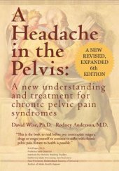 book A Headache in the Pelvis, a New Expanded 6th Edition: A New Understanding and Treatment for Chronic Pelvic Pain Syndromes