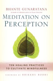 book Meditation on Perception