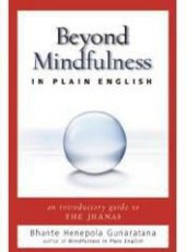 book Beyond Mindfulness in Plain English