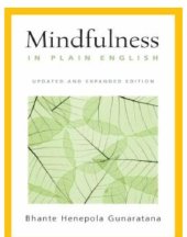 book Beyond Mindfulness in Plain English