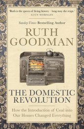 book The Domestic Revolution: How the Introduction of Coal into Victorian Homes Changed Everything