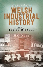 book New Perspectives on Welsh Industrial History