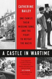 book A castle in wartime: one family, their missing sons, and the fight to defeat the Nazis