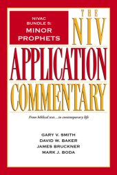 book Minor prophets. NIVAC Bundle 5: the NIV application commentary: from bibical text ... to contemporary life