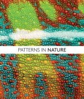 book Patterns in nature: why the natural world looks the way it does