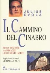 book Il cammino del cinabro