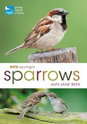 book RSPB Spotlight Sparrows