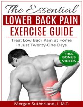 book The Essential Lower Back Pain Exercise Guide Treat Low Back Pain at Home in Just Twenty-One Days