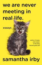 book We are never meeting in real life: essays