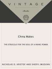 book China wakes: the struggle for the soul of a rising power