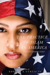 book The Practice of Islam in America: An Introduction