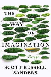 book The Way of Imagination