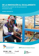 book De la innovación al escalamiento: reflexiones a partir de dos procesos de innovación local