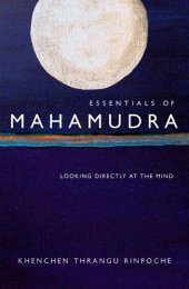 book Essentials of Mahamudra: looking directly at the mind