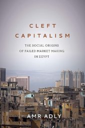 book Cleft Capitalism: The Social Origins of Failed Market Making in Egypt