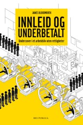 book Innleid og underbetalt undercover i et arbeidsliv uten rettigheter