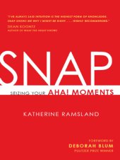 book SNAP: Seizing Your Aha! Moments