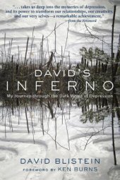 book David's Inferno: My Journey Through the Dark Wood of Depression