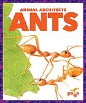 book Ants