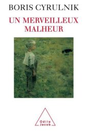 book Un merveilleux malheur