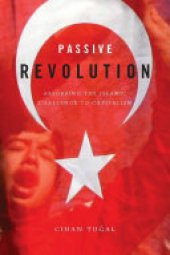 book Passive Revolution: Absorbing the Islamic Challenge to Capitalism