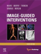 book Image-Guided Interventions (Expert Radiology Series)