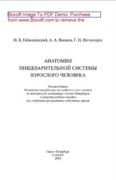 book Анатомия пищеварительной системы взрослого человека