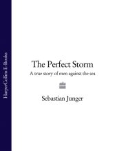 book The Perfect Storm