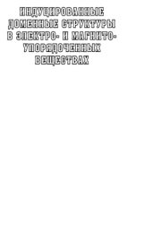 book Индукцированные доменные структуры в электро- и магнитоупорядоченных веществах