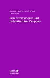 book Praxis stationärer und teilstationärer Gruppenarbeit Rahmenbedingungen - Gruppendynamik - Praxiseinblick