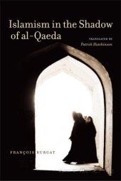 book Islamism in the Shadow of al-Qaeda