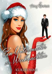 book Ein Untermieter zu Weihnachten