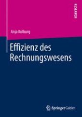 book Effizienz des Rechnungswesens