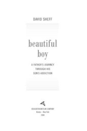 book Beautiful boy: a father's journey through his son's meth addiction