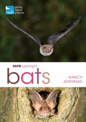 book RSPB Spotlight Bats