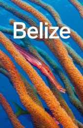 book Belize Travel Guide