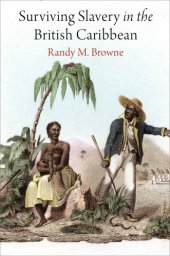 book Surviving Slavery in the British Caribbean