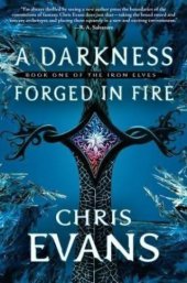 book A Darkness Forged in Fire