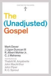 book The (unadjusted) gospel