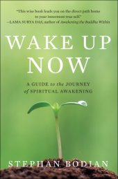 book Wake up Now: a Guide to the Journey of Spiritual Awakening