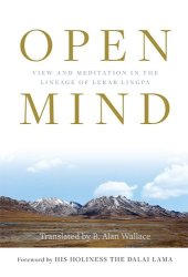 book Open mind: view and meditation in the lineage of lerab linga