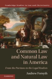 book Common law and natural law in America: from the puritans to the legal realists