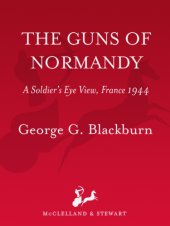 book The guns of Normandy: a soldier's eye view, France 1944