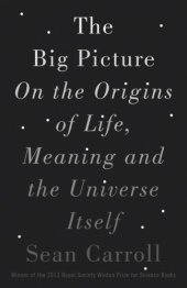 book The big picture: on the origins of life, meaning, and the universe itself