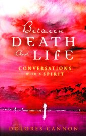 book Between death and life: conversations with a spirit